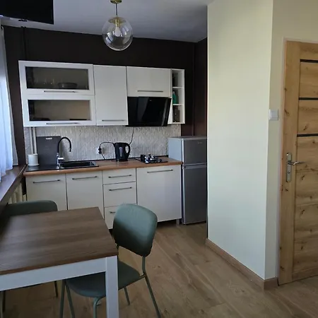 아파트 Apatrament Jagielonska 웨그니차